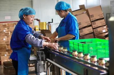 特色農業提檔升級 萊蕪辣椒醬生產線助力品牌農產品叫響世界
